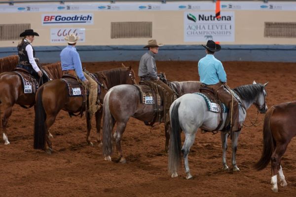 2024 AQHA Show Rule Changes