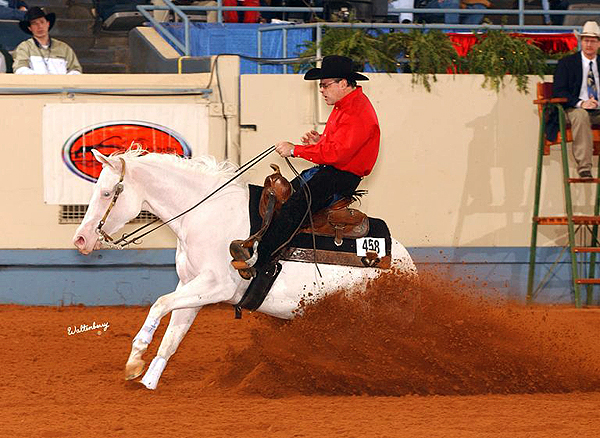 NRHA Announces 2024 Hall of Fame Inductees & Dale Wilkinson Lifetime Achievement Award Recipient