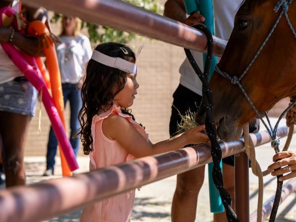 Free Museum Family Day