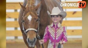 Equine Chronicle | Archive | Show Results & Gallery | 4