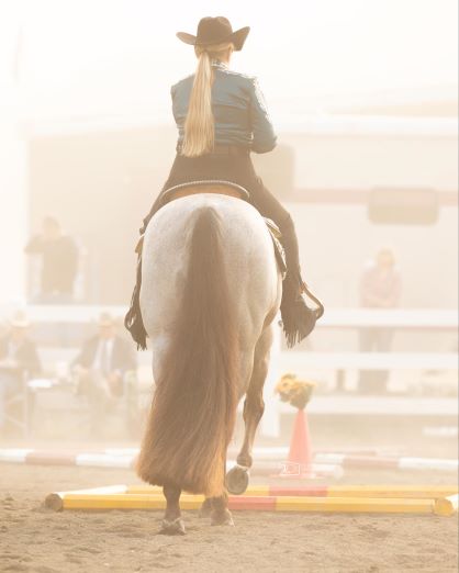 Saturday’s $100,000 Trail Finals Working Order at The Championship Show 2024