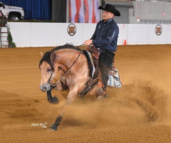 All Star Reining Stakes Enrollment Deadline is December 31