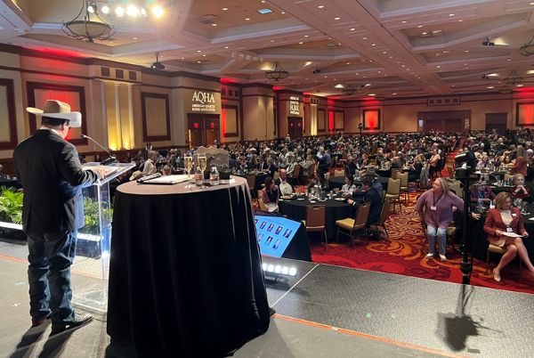 2025 AQHA Convention Schedule Released