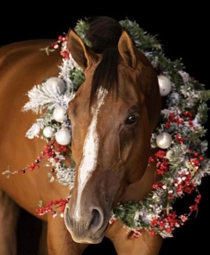 EC Wreath Photo of the Day – U Betcha Im Hot