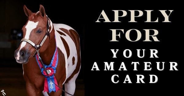 Don’t Miss Out—Renew Your APHA Amateur Card for 2025 Show Season