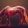 Wireless Device That Measures Gastric pH May Help Treat EGUS