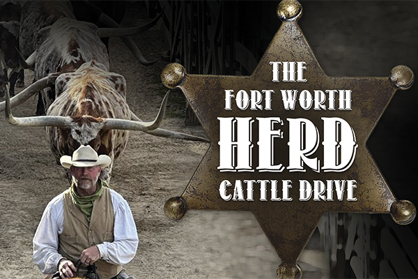 The Fort Worth Herd Cattle Drive