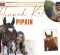 Hannah Kate Pipkin – A Young Horsewoman On The Rise Hannah Kate Pipkin – A Young Horsewoman On The Rise