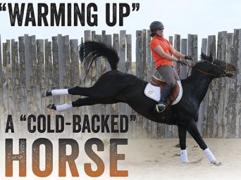 “Warming Up” A “Cold-Backed” Horse