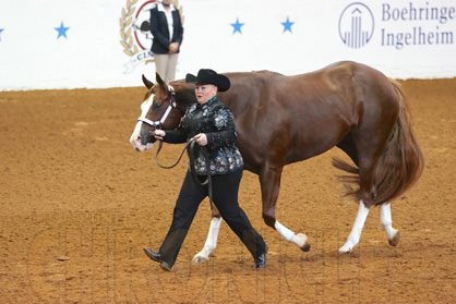 EC Photo of the Day – APHA World Show 2017