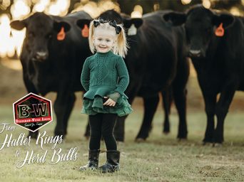 Bradshaw-Weiss Angus