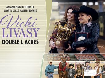 An Amazing Breeder Of World Class Halter Horses – Vicki Livasy