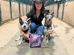 Around the Rings – Pups of Pinto World 2025