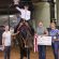 Entry Proofing Lists for 2025 AQHYA World Show