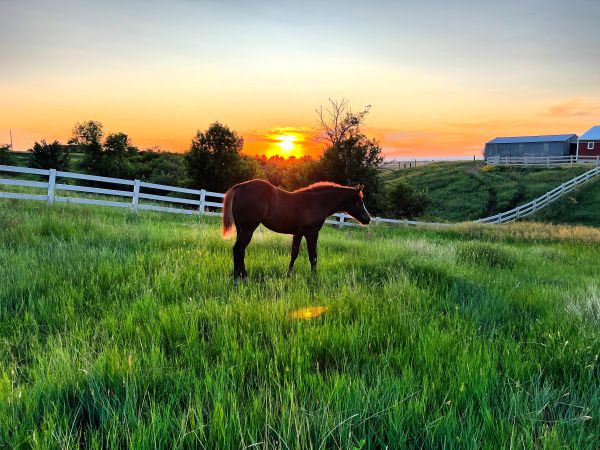 EC Photo of the Day – The Best View in the World