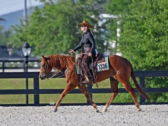 Entries & Stall Reservations Open for The 2025 Championship Show in Ocala