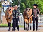 Around the Rings – American Buckskin Registry Association 2025 World Show