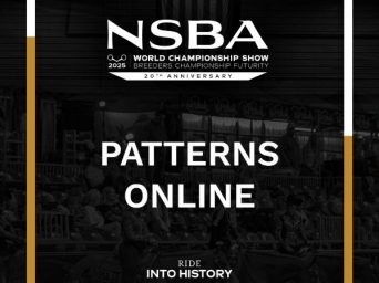 What You’ve Been Waiting For – 2025 NSBA World Show Patterns