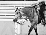Around the Rings – 2025 MAQHA Corporate Challenge
