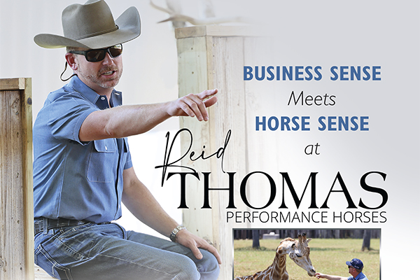 Business Sense Meets Horse Sense At Reid Thomas Performance Horses