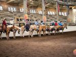 More Around the Rings – 2025 Palomino HBA World Championship Show