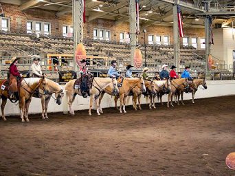 More Around the Rings – 2025 Palomino HBA World Championship Show