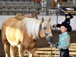 Around the Rings – 2025 Palomino HBA World Championship Show