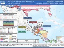 Secretary Rollins Takes Decisive Action and Shuts Down U.S. Southern Border Ports to Livestock Trade