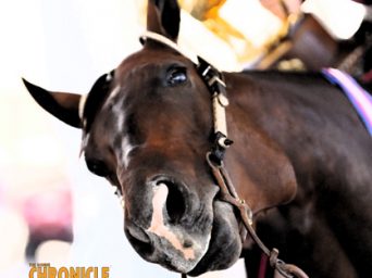 EC Question of the Week: Why Is Your Horse Leaving You?