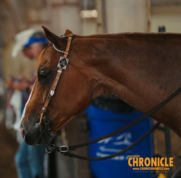 EC Photo of the Day – We Wouldn’t Have It Any Other Way