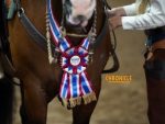 Who is Coming Back Friday Evening for the L3 Ranch Riding 14-18 Finals?