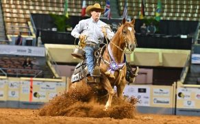 Divisional High-Point Awards Debut at the 2025 Markel AQHA World Show