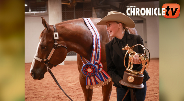 Piper Anderson and Keep It To Yourself win L2 & L3 Performance Halter Geldings