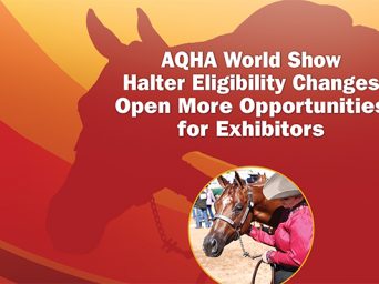 AQHA World Show Halter Eligibility Changes