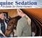 Equine Sedation: A Guide For Horse Owners