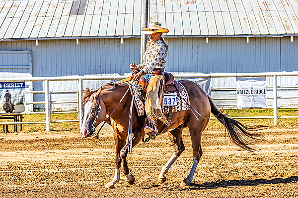 Around the Rings – Ohio Foundation QHA August 2025 Ranch Show