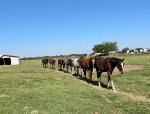 EC Photo of the Day – Walk This Way