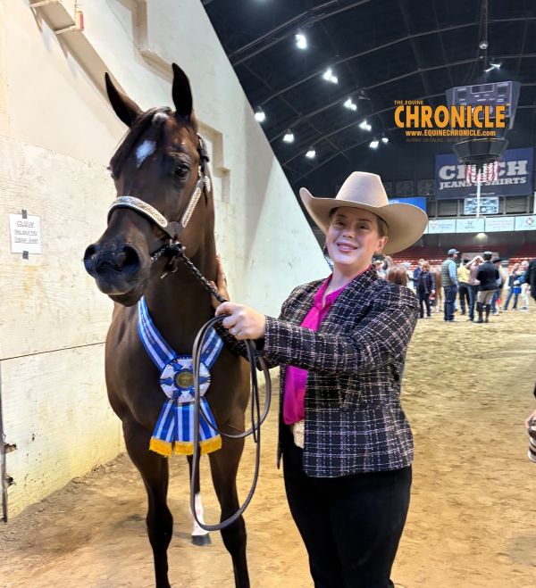 Rose Santos and Baddiee Claim Yearling Maiden Open Mare Halter Stake Congress Championship