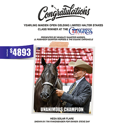Hesa Solar Flare sweeps Inaugural Yearling Maiden Open Gelding Halter Stakes
