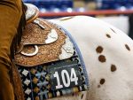 More Around the Rings – 2025 Appaloosa World Show More Around the Rings – 2025 Appaloosa World Show