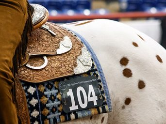 More Around the Rings – 2025 Appaloosa World Show More Around the Rings – 2025 Appaloosa World Show