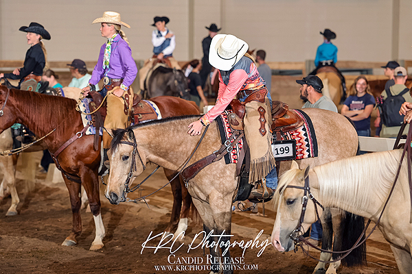 Around the Rings – 2025 All American Buckskin Horse Congress Around the Rings – 2025 All American Buckskin Horse Congress