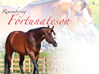 Remembering Fortunateson