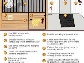Preparing for a Barn Disaster from University of Minnesota Extension