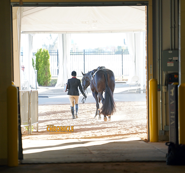 EC Photo of the Day — The Meaning of the Horse