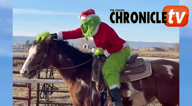 Merry Christmas from The Equine Chronicle and uh – The Grinch!