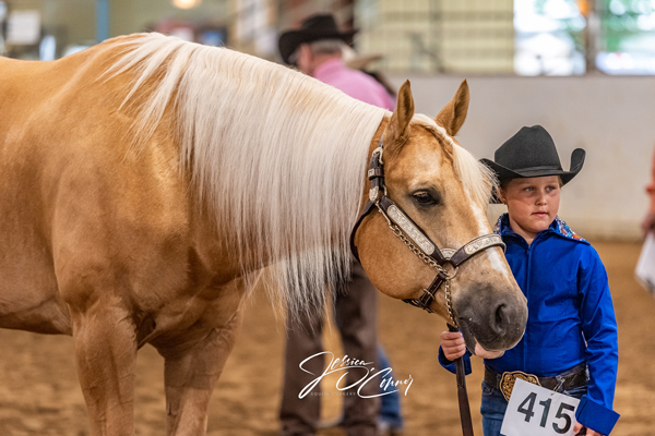 Now Through April 30: Discounted PHBA Horse Registration Rates