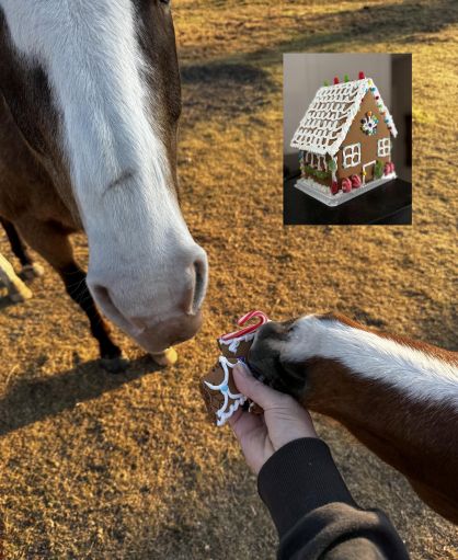 EC Photo of the Day–Reason 1,999,989 to Have Horses