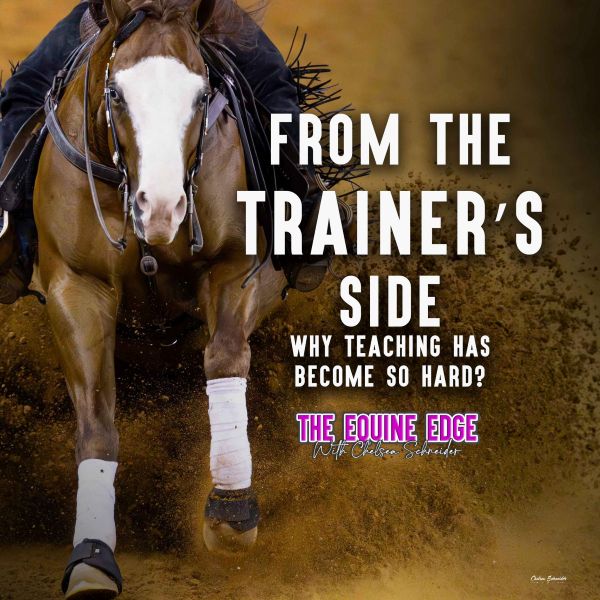 Part Two: From the Trainer’s Side — Why Teaching Has Become So Hard. An EC Blog by Chelsea Schneider.