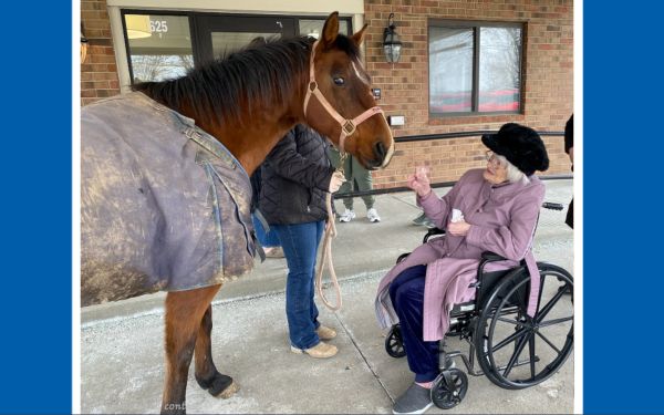 A Gift Horse for Beth Yost